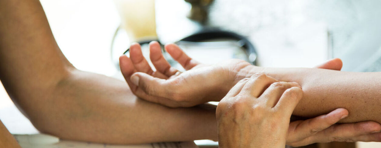 Ayurveda-Test · Vata Pitta Kapha